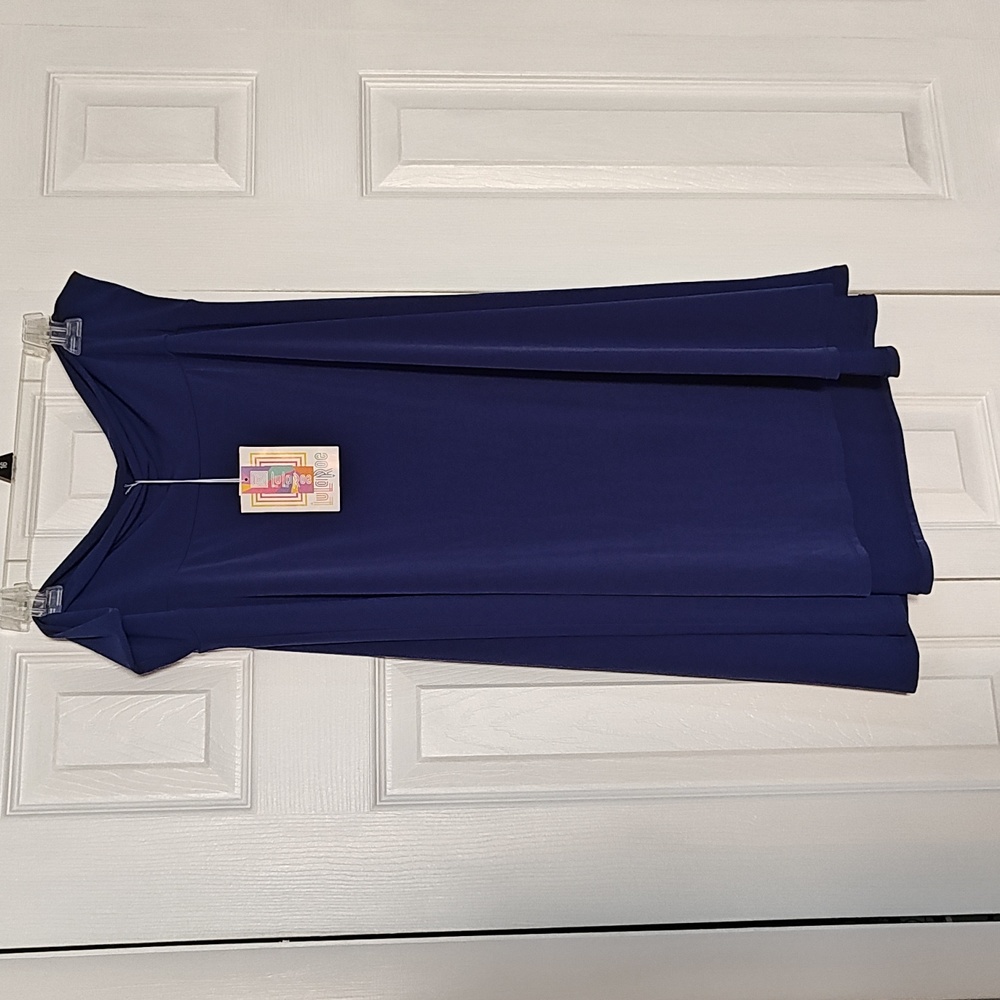 LuLaRoe Azure flared skirt